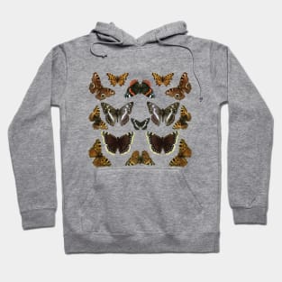 Butterflies Collage Pattern Design Hoodie